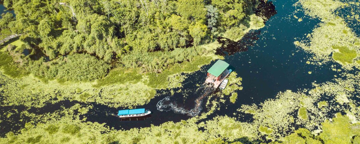 Pantanal MS - Lucas Ramos Mendes