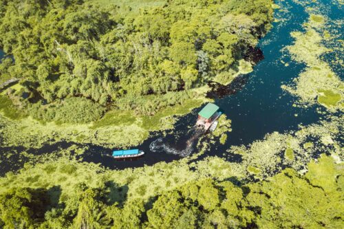 Pantanal MS - Lucas Ramos Mendes