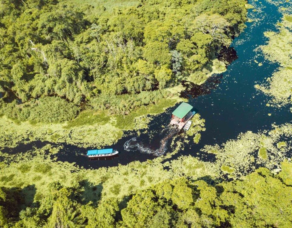 Pantanal MS - Lucas Ramos Mendes