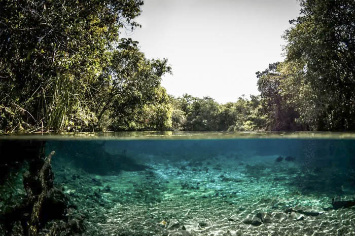 Águas cristalinas em Bonito MS