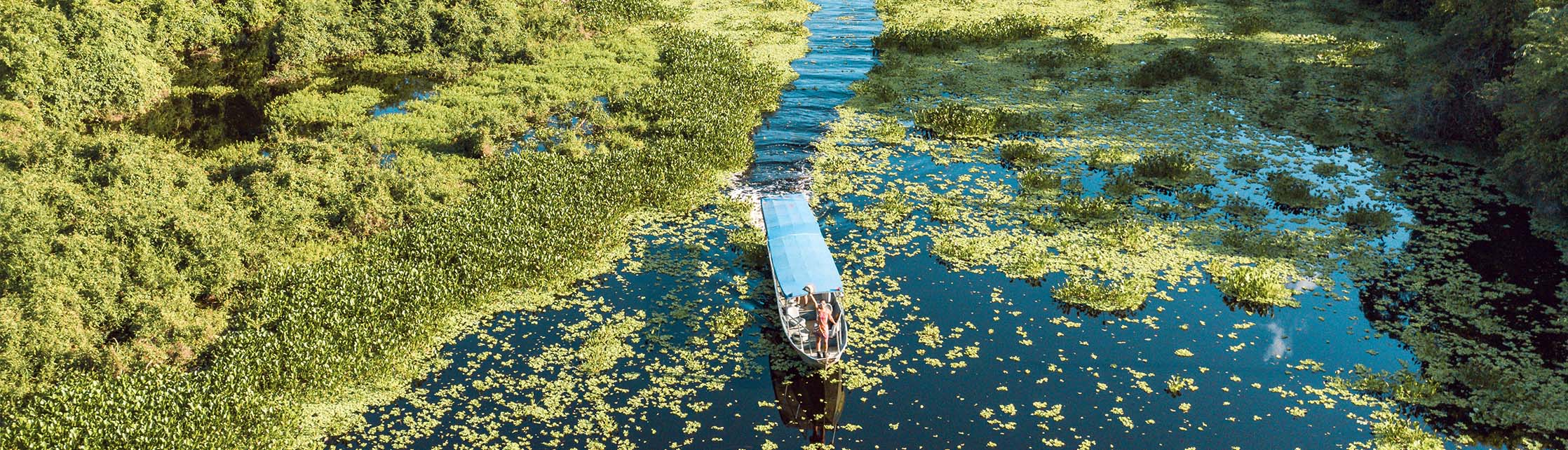 Pantanal-MS (Foto: Lucas Ramos)