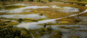 Paisagem aberta do Pantanal com campos, áreas alagadas e vegetação nativa.