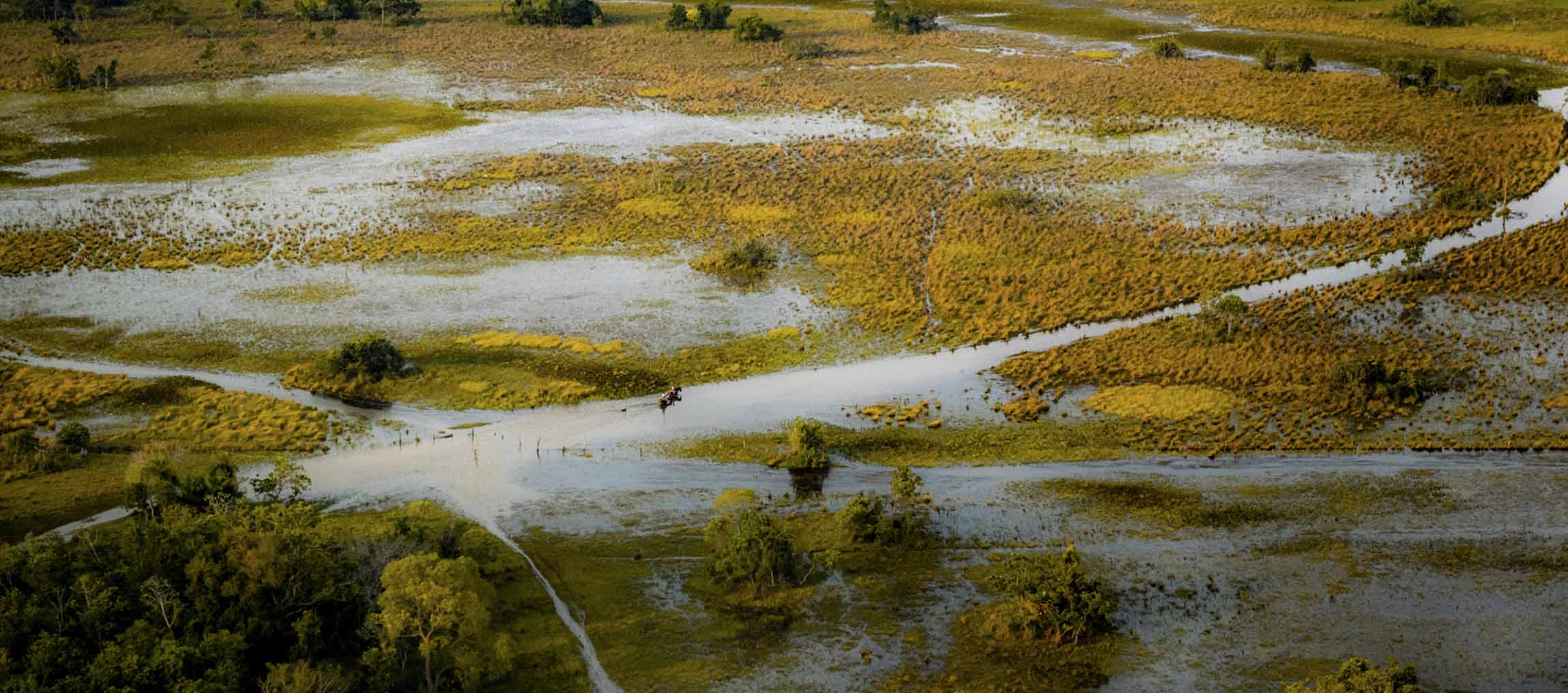 Paisagem aberta do Pantanal com campos, áreas alagadas e vegetação nativa.
