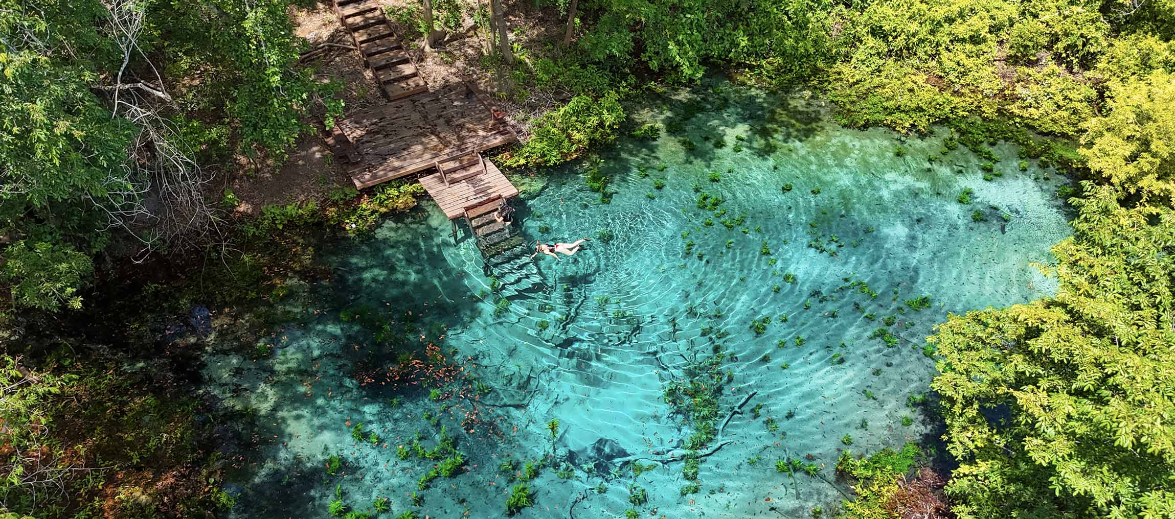 Fervedouro Rio Azul em Bodoquena cercado por vegetação preservada e águas cristalinas.