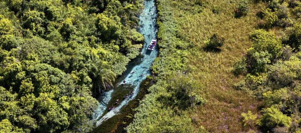 Safari Aquático no Rio Sucuri com águas extremamente cristalinas em Bonito.
