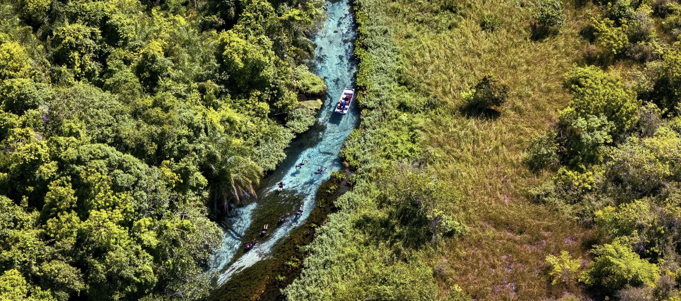 Safari Aquático no Rio Sucuri com águas extremamente cristalinas em Bonito.